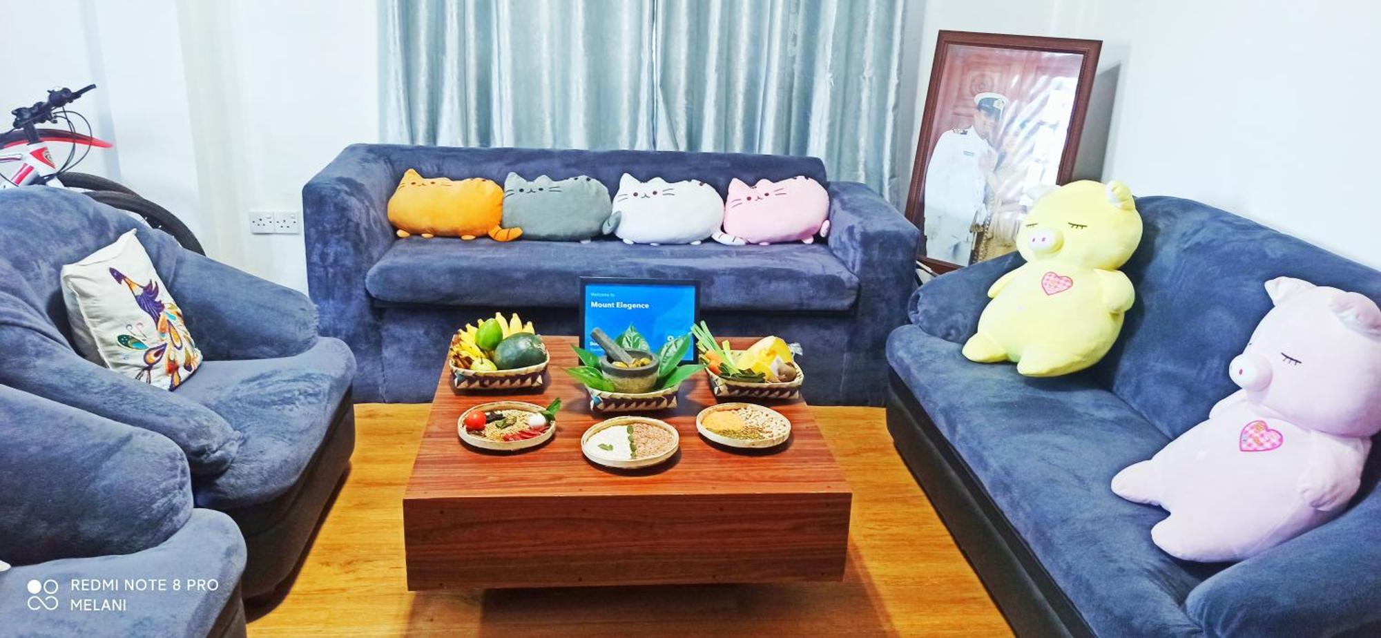 Mount Elegance Apartman Nuwara Eliya Kültér fotó