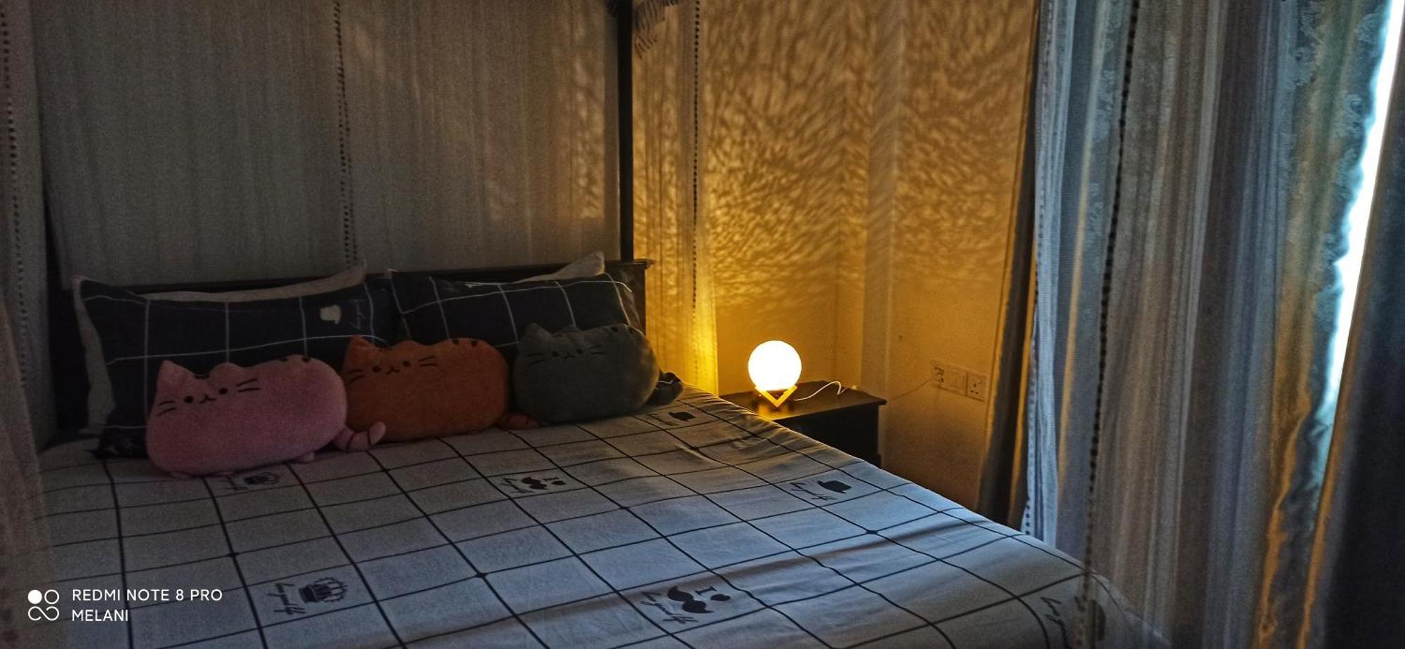 Mount Elegance Apartman Nuwara Eliya Kültér fotó